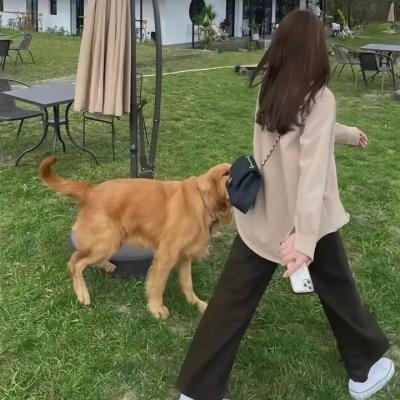 超级仓鼠2